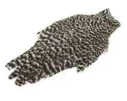 American Hen Cape 9 American Hen Cape -I Enden Av Snøret Salg tU1zgl 1680549009 58801 0 0 pck