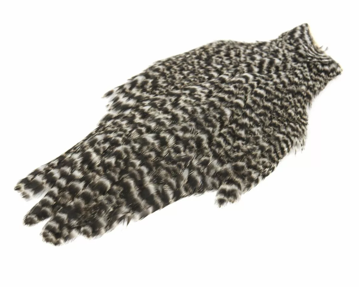 American Hen Cape 5 American Hen Cape - Bilde 3