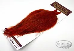 Whiting Coq De Leon Rooster Cape -I Enden Av Snøret Salg yvL1mA 1679036522 48580 781 340 pck